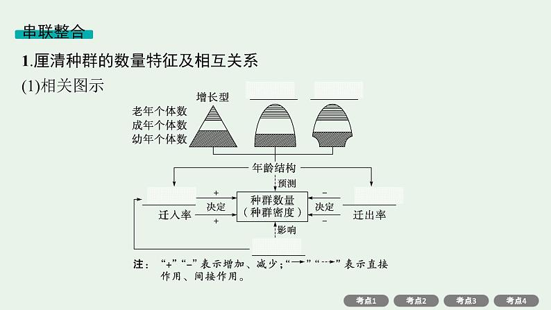 2025届生物高考  二轮复习   个体通过一定的调节机制保持稳态 主干知识 自主落实  课件 第4页