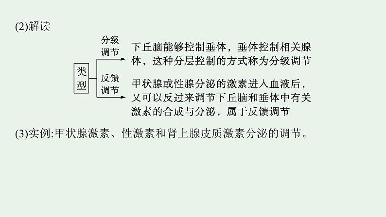 2025届生物高考  二轮复习  个体通过一定的调节机制保持稳态  素养整合_诠释应用 课件第3页