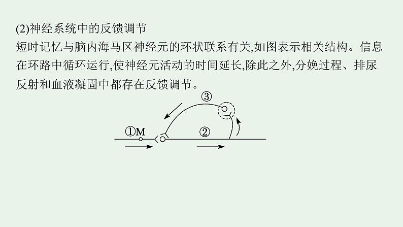 2025届生物高考  二轮复习  个体通过一定的调节机制保持稳态  素养整合_诠释应用 课件第5页