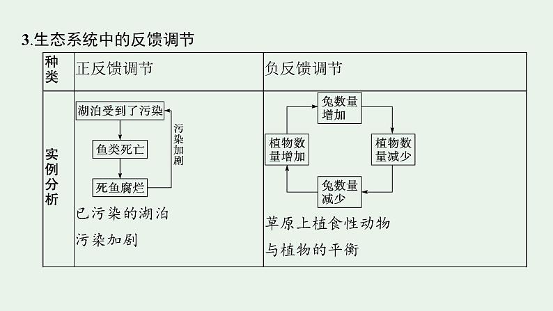 2025届生物高考  二轮复习  个体通过一定的调节机制保持稳态  素养整合_诠释应用 课件第6页