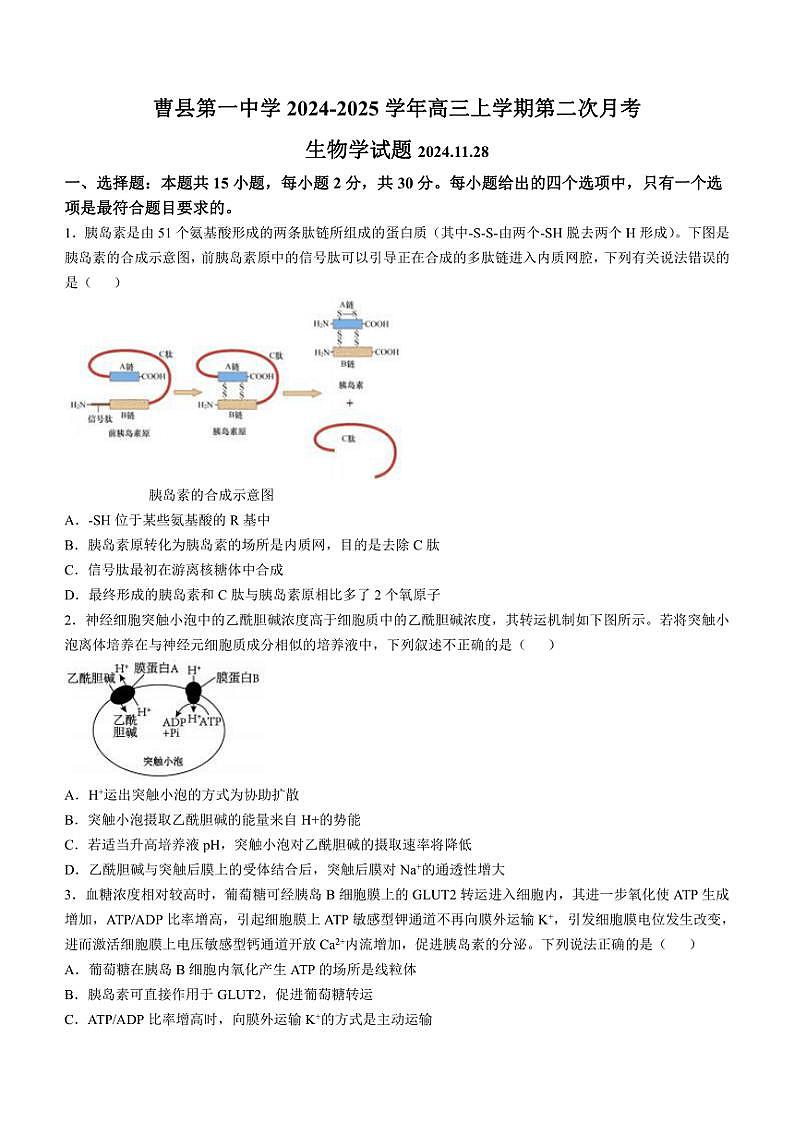 2024～2025学年山东省菏泽市曹县山东省曹县第一中学高三(上)第二次月考生物试卷(含答案)第1页