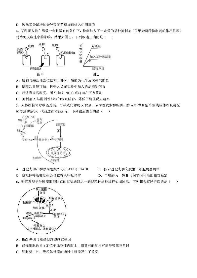 2024～2025学年山东省菏泽市曹县山东省曹县第一中学高三(上)第二次月考生物试卷(含答案)第2页