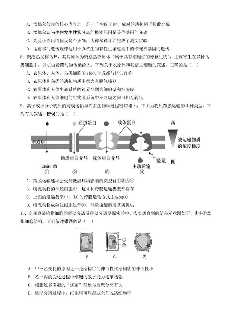 2024～2025学年广东省深圳市聚龙科学中学高三(上)第二次月考生物试卷(含答案)第2页