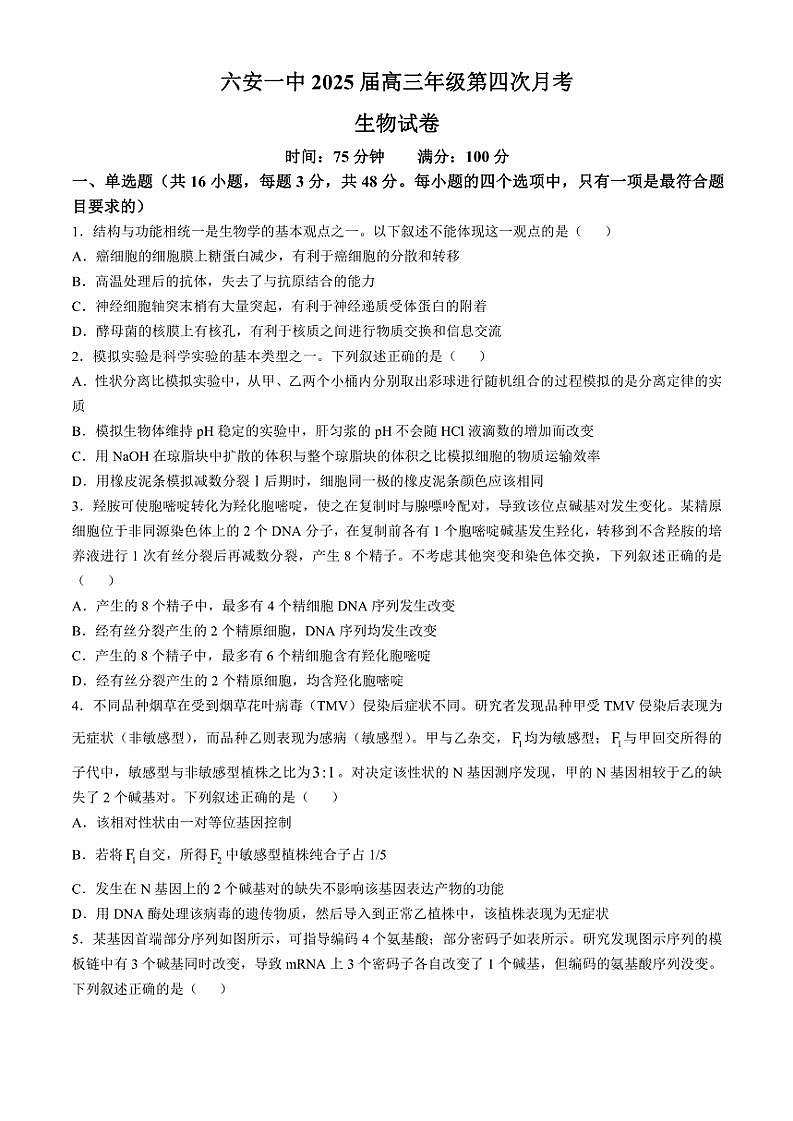 2024～2025学年安徽省六安市金安区六安第一中学高三(上)11月第四次月考生物试卷(含答案)第1页