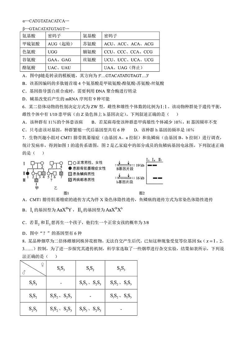 2024～2025学年安徽省六安市金安区六安第一中学高三(上)11月第四次月考生物试卷(含答案)第2页