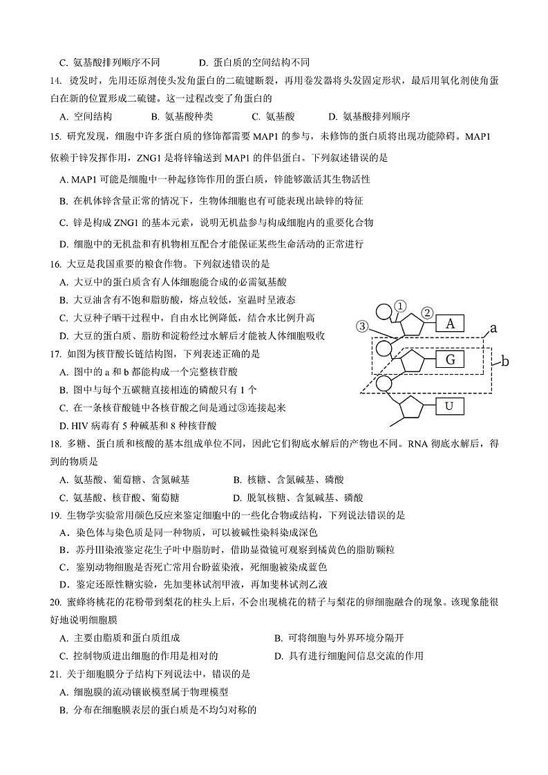 2024～2025学年四川省广元市直属学校高一(上)期中生物试卷(含答案)第3页