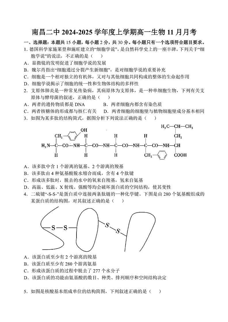 2024～2025学年江西省南昌市东湖区南昌市第二中学高一(上)11月月考生物试卷(含答案)第1页