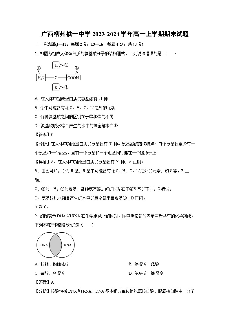 2023~2024学年广西柳州铁一中学高一(上)期末生物试卷(解析版)第1页