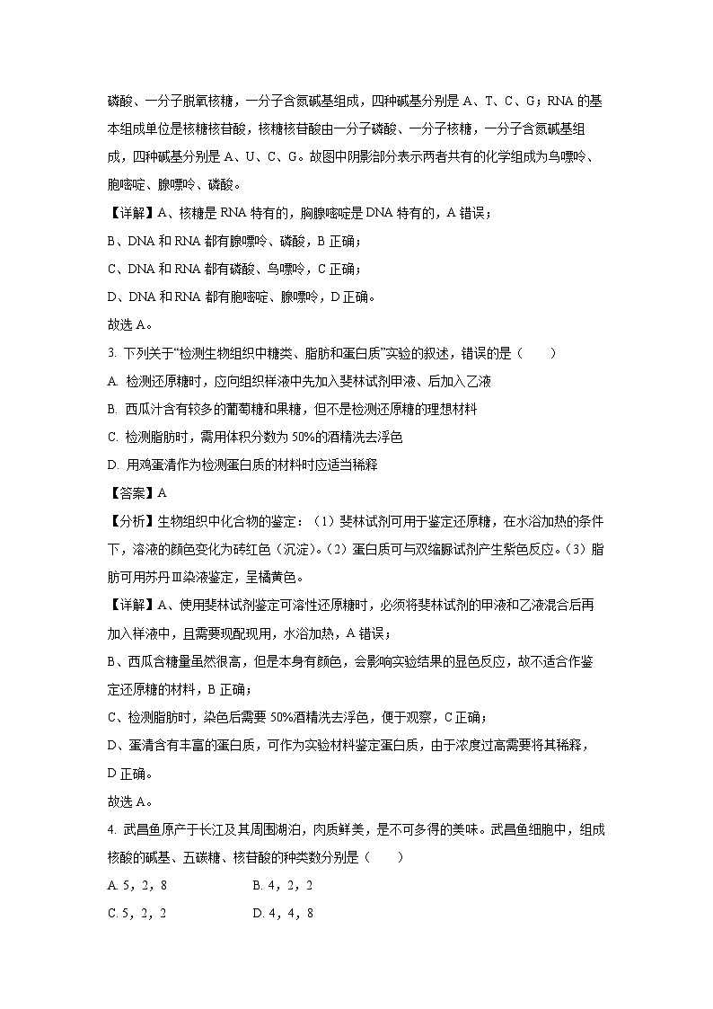 2023~2024学年广西柳州铁一中学高一(上)期末生物试卷(解析版)第2页