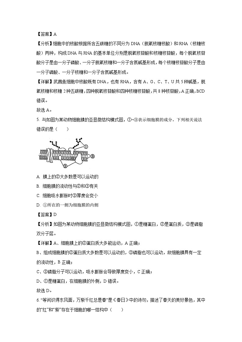 2023~2024学年广西柳州铁一中学高一(上)期末生物试卷(解析版)第3页