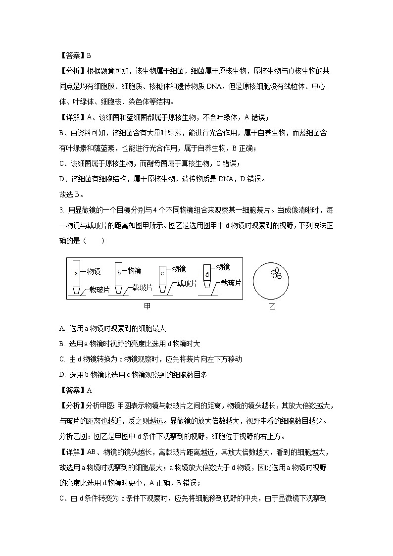 2023~2024学年广东省阳江市高一(上)期末生物试卷(解析版)第2页