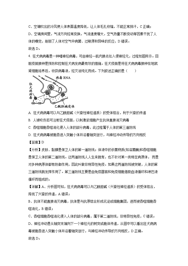2024~2025学年广东省清远市高二(上)期中考试生物试卷(解析版)第3页