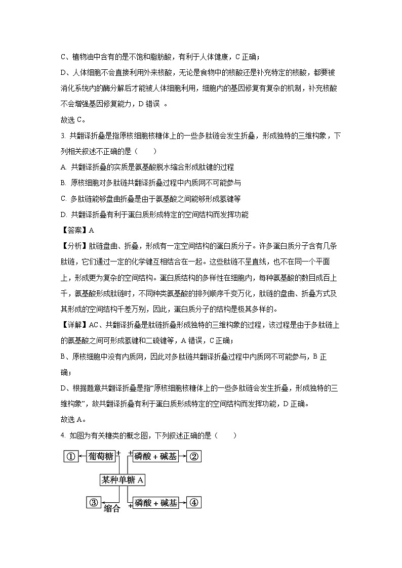 2023~2024学年山西省运城市高一(上)期末生物试卷(解析版)第2页