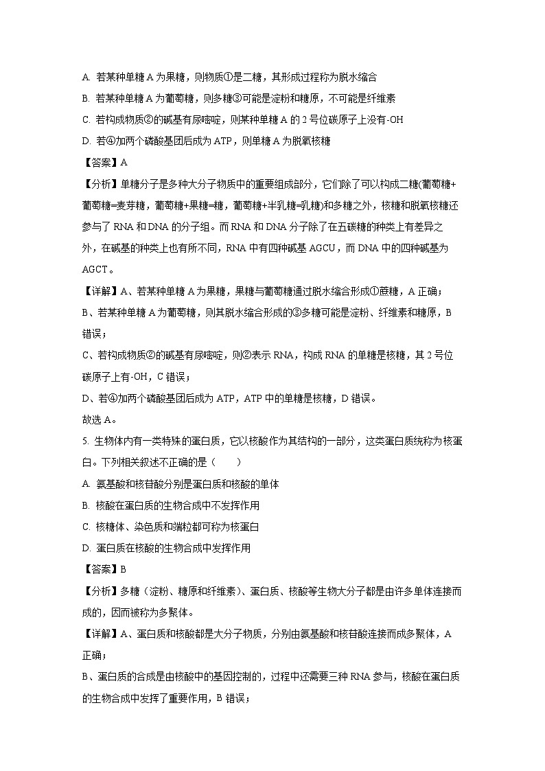 2023~2024学年山西省运城市高一(上)期末生物试卷(解析版)第3页