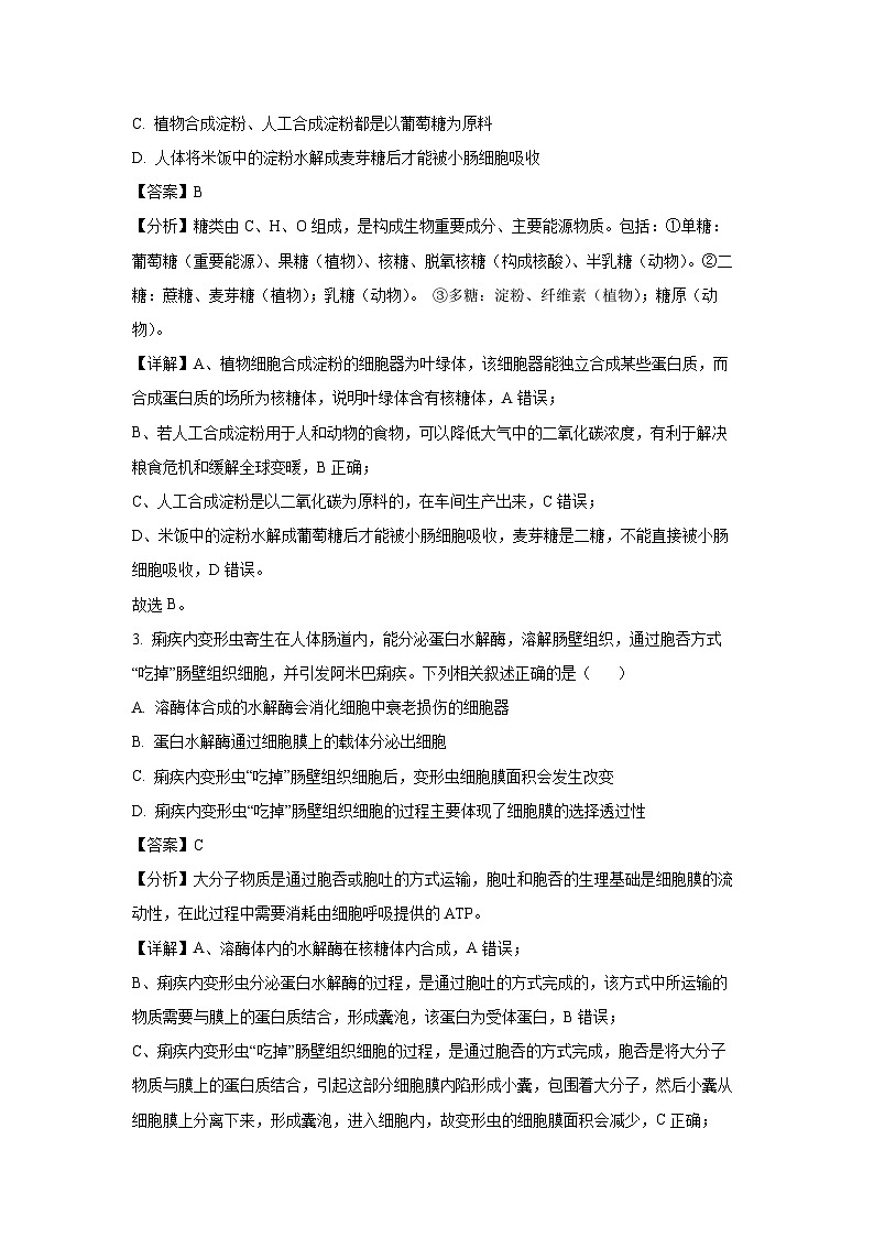 2024~2025学年辽宁省高三(上)全省统考期中考试生物试卷(解析版)第2页