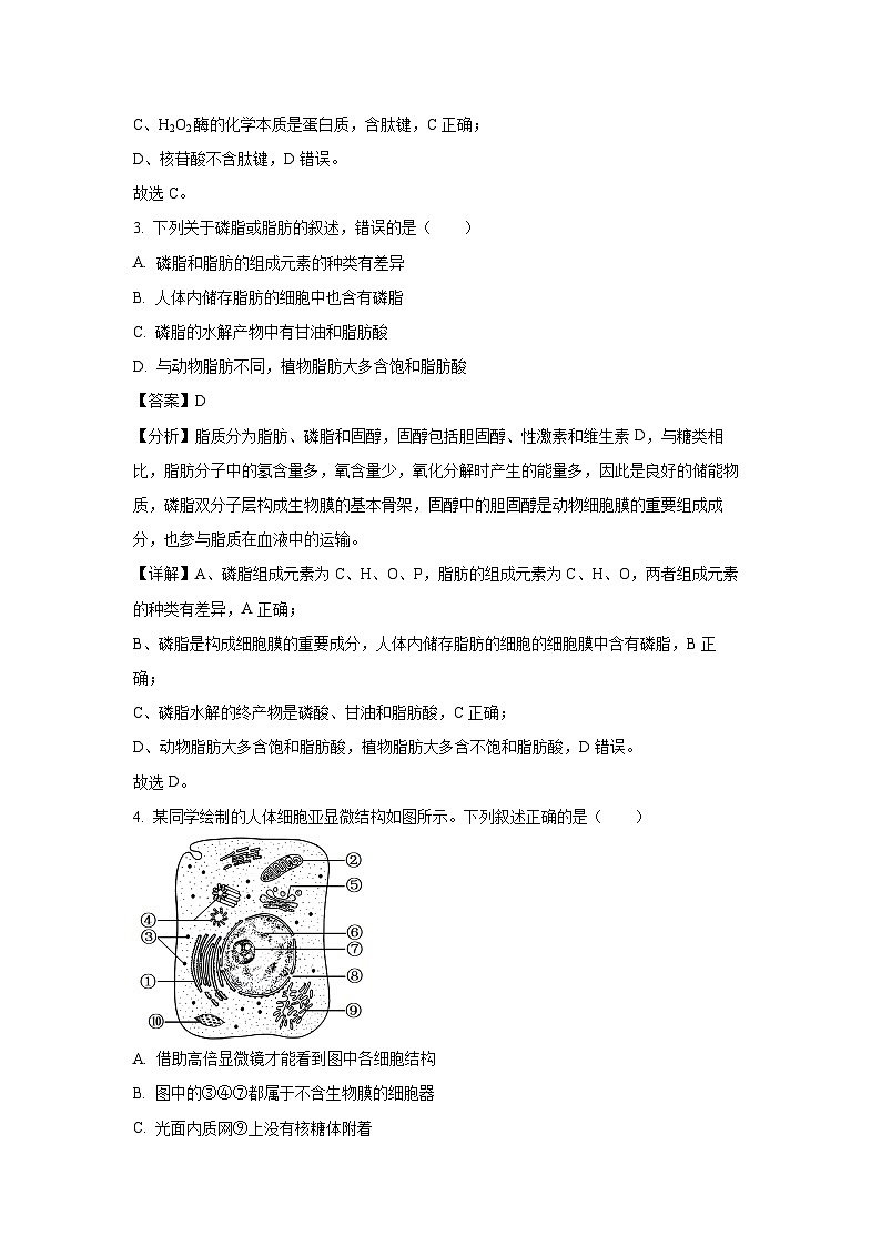 2023~2024学年贵州省黔东南州高一(上)1月期末生物试卷(解析版)第2页