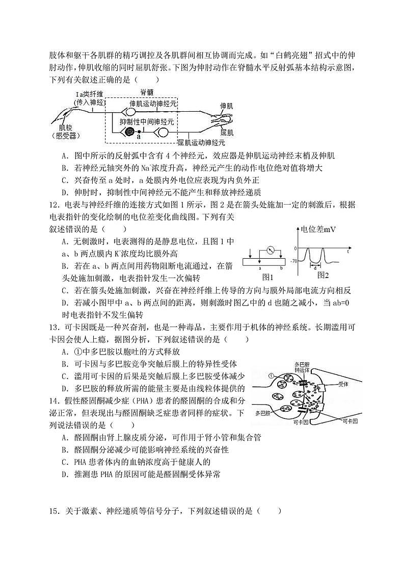 2024～2025学年福建省泉州市鲤城区福建师范大学泉州附属中学高二(上)期中生物试卷(无答案)第3页