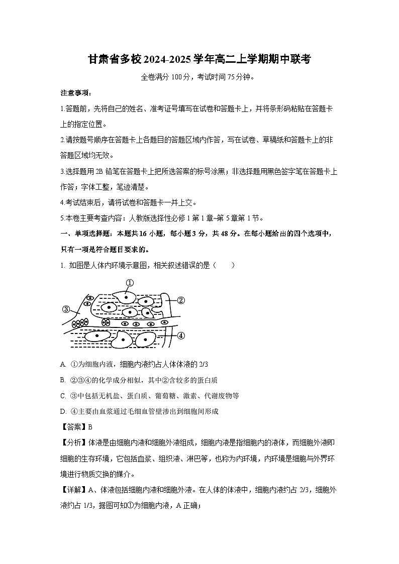 2024~2025学年甘肃省多校高二(上)期中联考 生物试卷(解析版)第1页