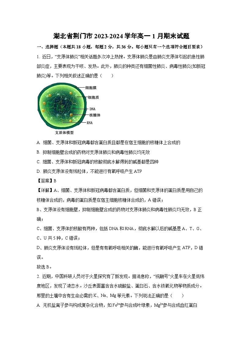 2023~2024学年湖北省荆门市高一(上)1月期末生物试卷(解析版)第1页