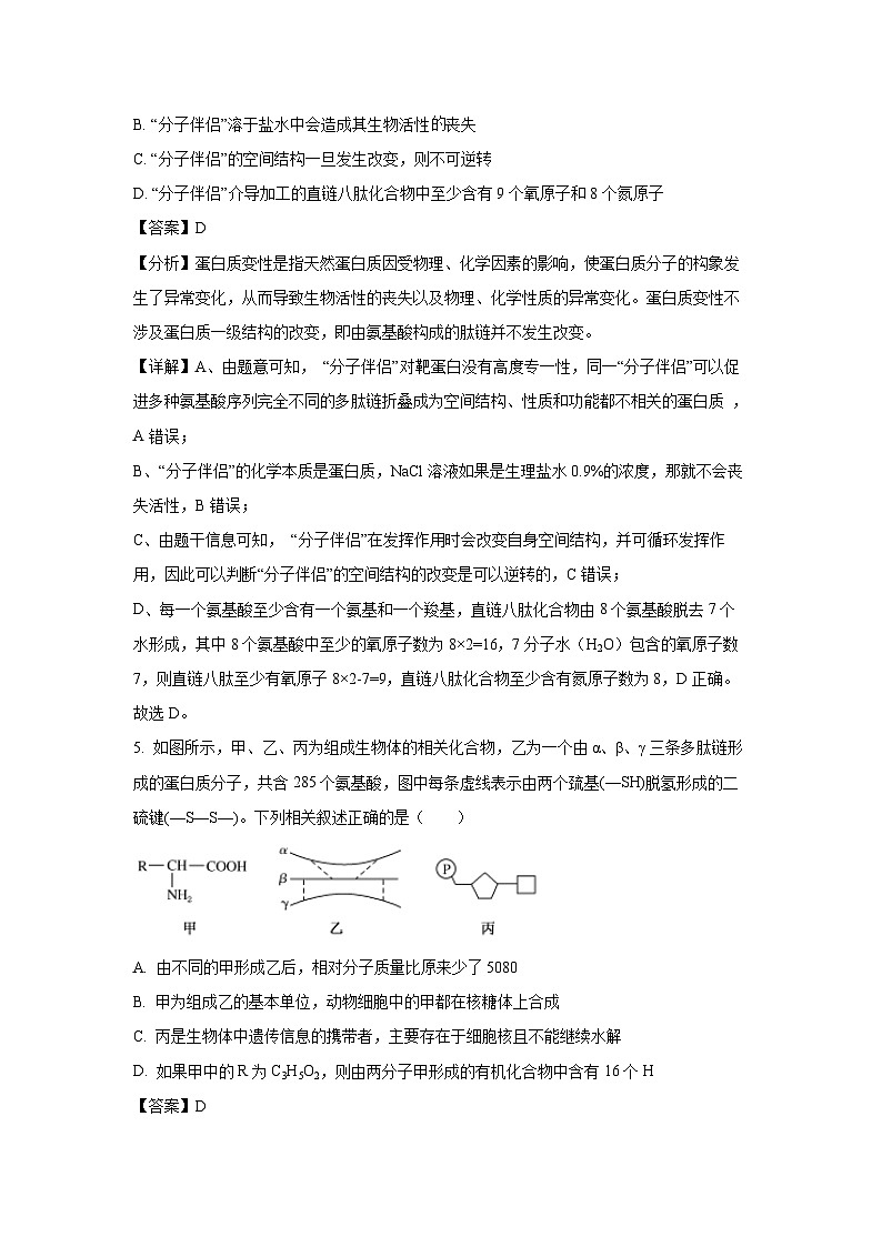 2023~2024学年湖北省荆门市高一(上)1月期末生物试卷(解析版)第3页