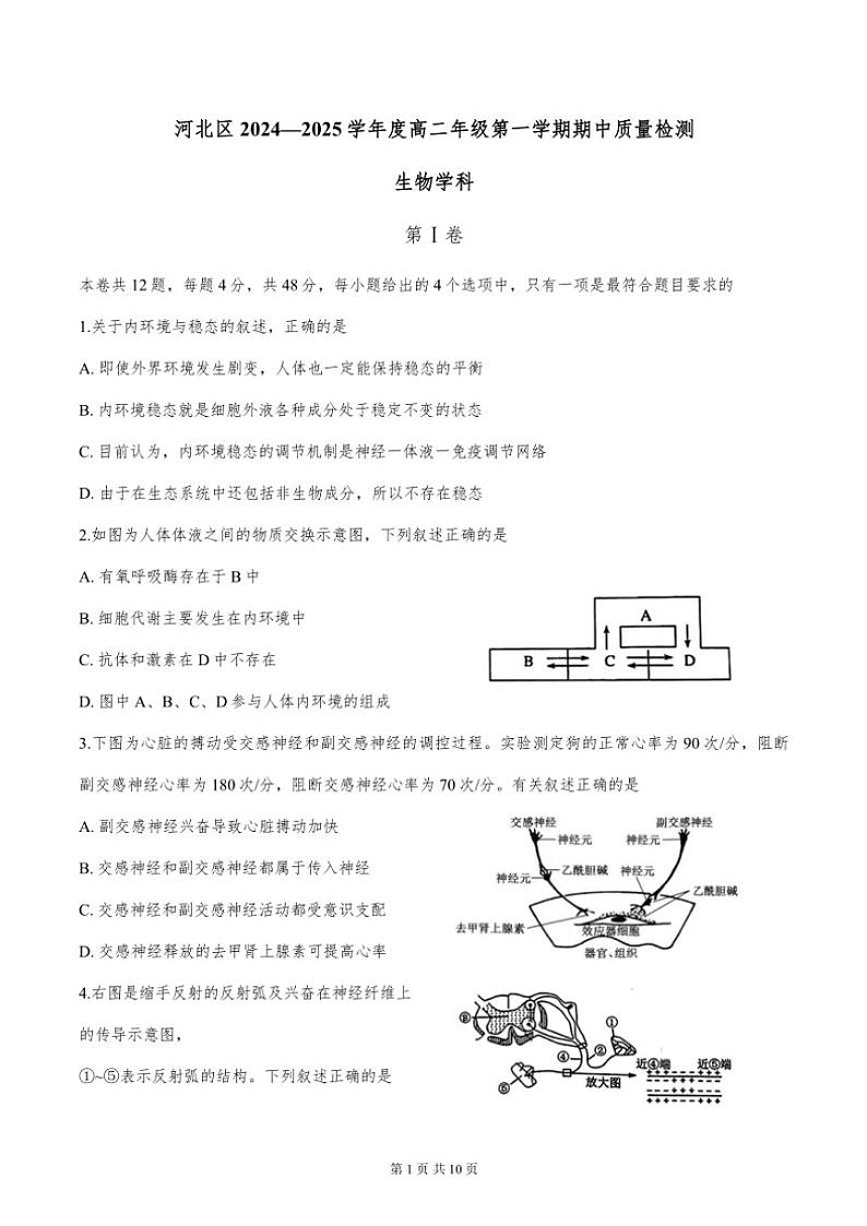 2024年天津市河北区高二年级上期中生物试卷【含答案】第1页