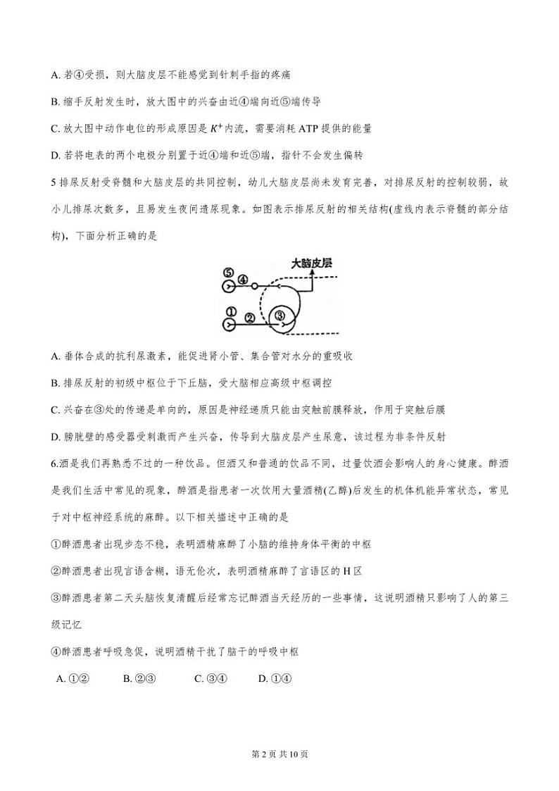 2024年天津市河北区高二年级上期中生物试卷【含答案】第2页