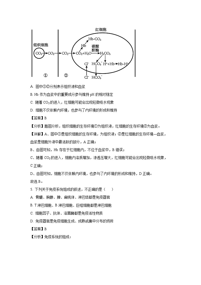 2024~2025学年浙江省金兰教育合作组织高二(上)期中考试生物试卷(解析版)第3页