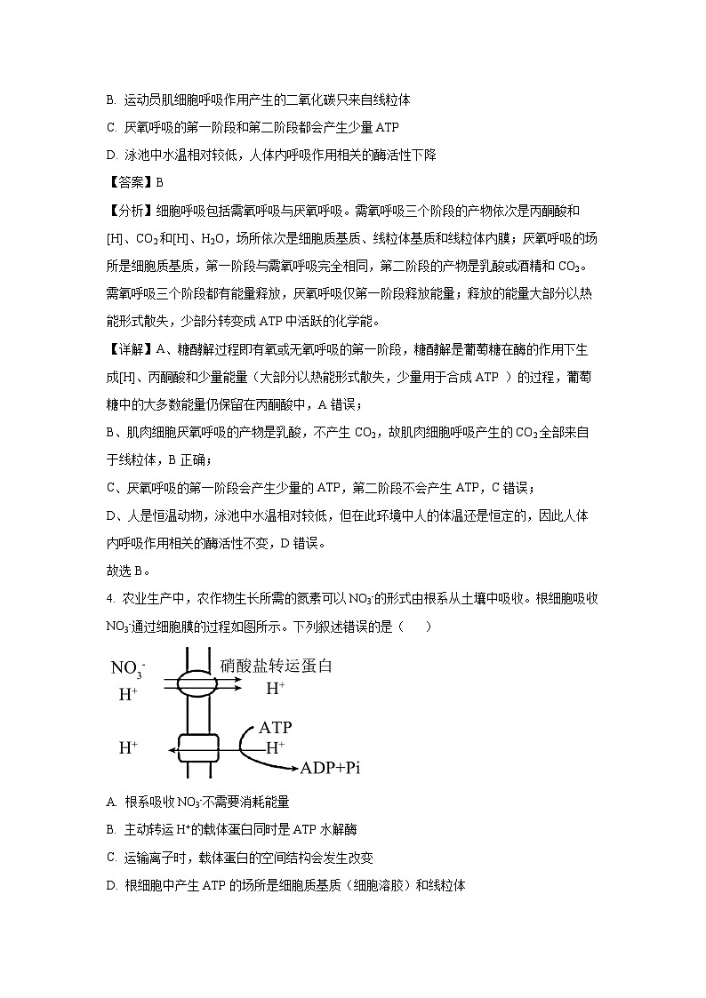 2024~2025学年浙江省湖州市A9协作体高二(上)期中考试生物试卷(解析版)第3页