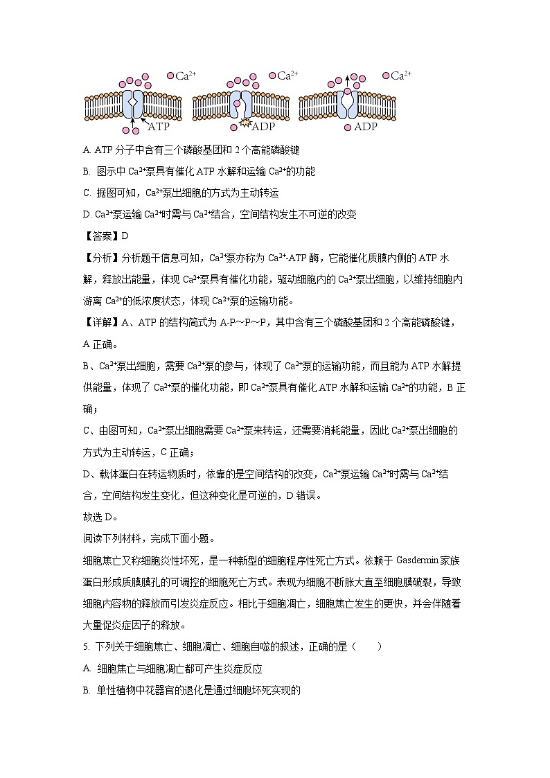 2024~2025学年浙江省衢州五校联盟高二(上)期中联考生物试卷(解析版)第3页
