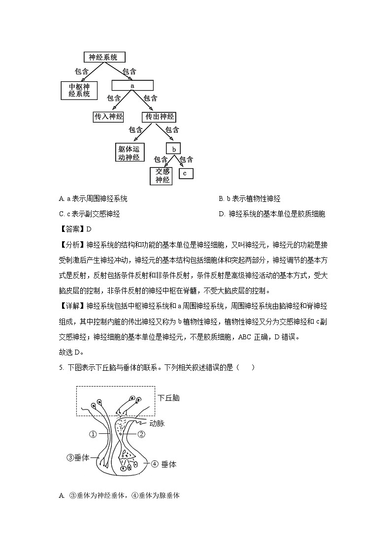 2024~2025学年浙江省浙里特色联盟高二(上)期中联考生物试卷(解析版)第3页