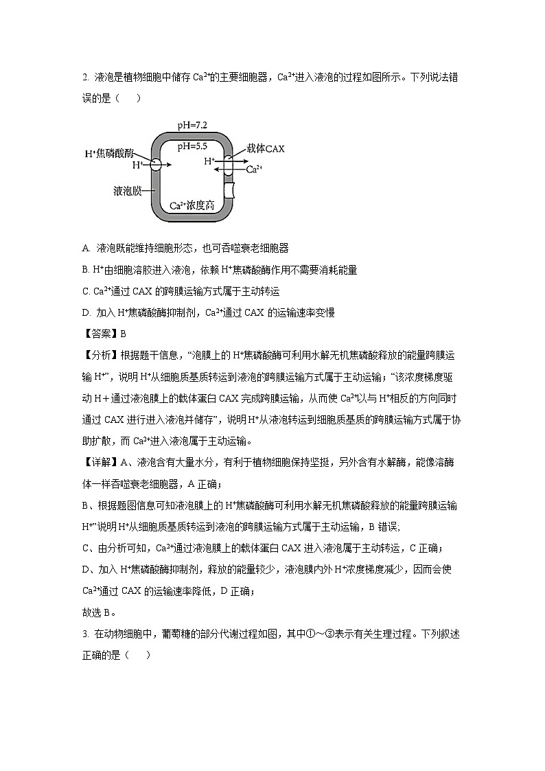 2024~2025学年浙江省杭州市等4地高二(上)11月期中考试生物试卷(解析版)第2页
