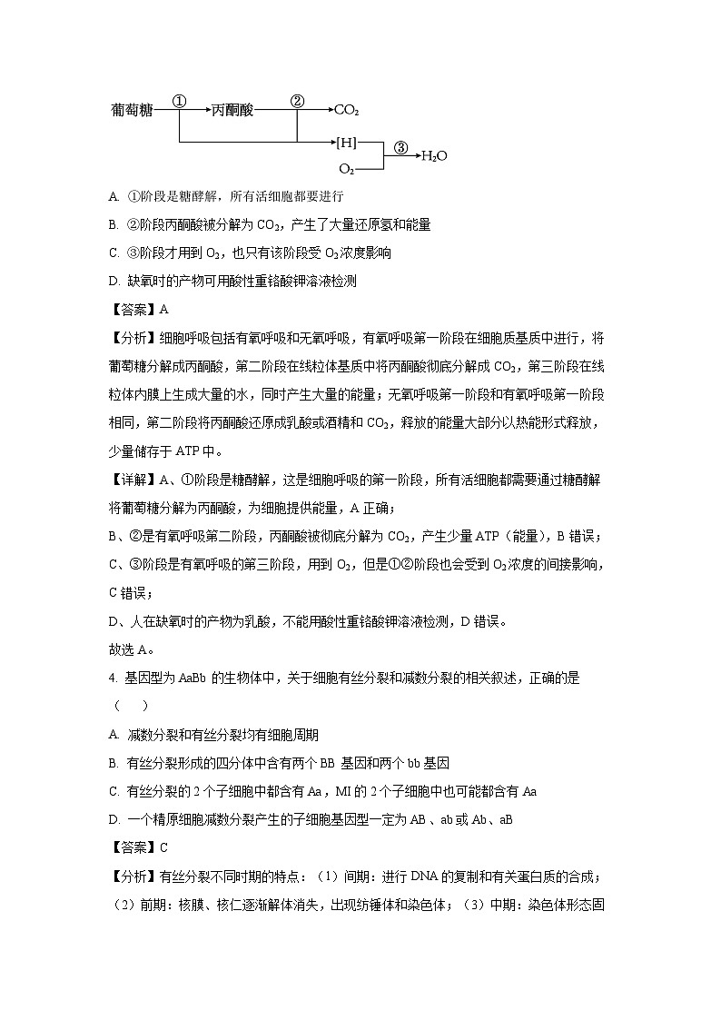 2024~2025学年浙江省杭州市等4地高二(上)11月期中考试生物试卷(解析版)第3页
