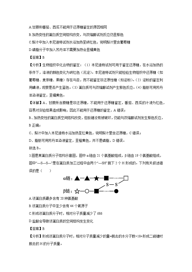 2024~2025学年浙江省高一(上)生物第三次月考生物试卷(解析版)第2页