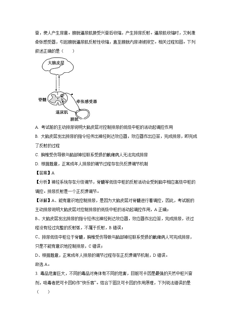 2024~2025学年河北省张家口市高二(上)期中考试生物试卷(解析版)第2页