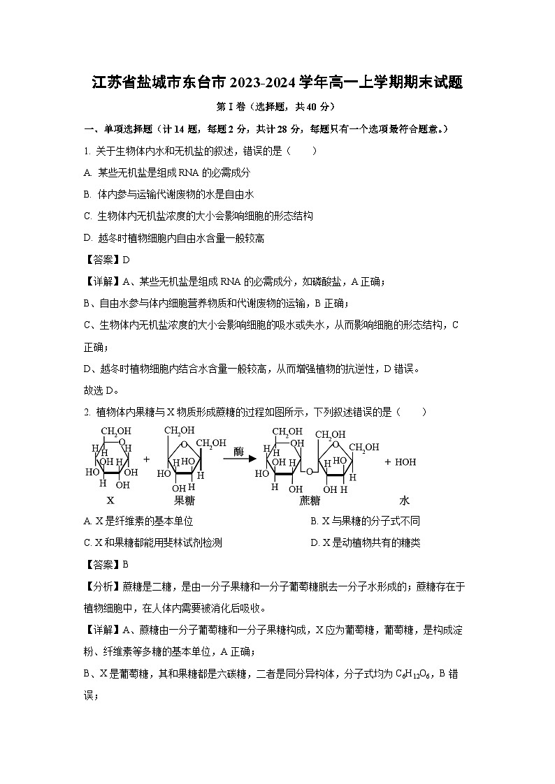 2023~2024学年江苏省盐城市东台市高一(上)期末生物试卷(解析版)第1页