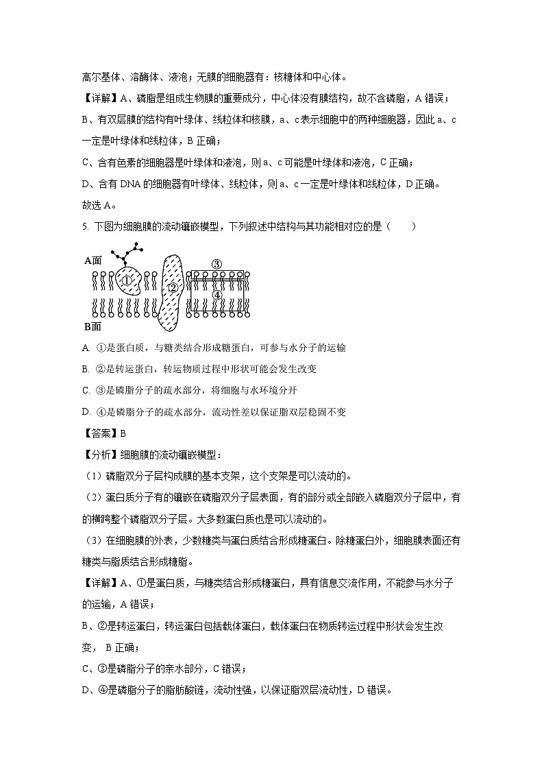 2023~2024学年江苏省盐城市东台市高一(上)期末生物试卷(解析版)第3页