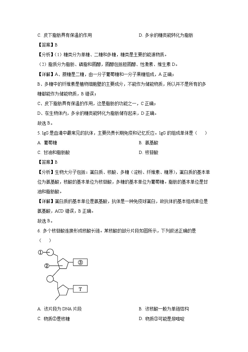 2024~2025学年新疆兵地联盟高一(上)期中联考生物试卷(解析版)第3页