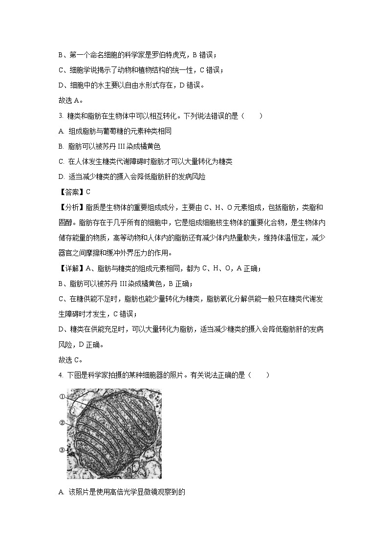 2022~2023学年山东省滨州市高一(上)2月期末生物试卷(解析版)第2页