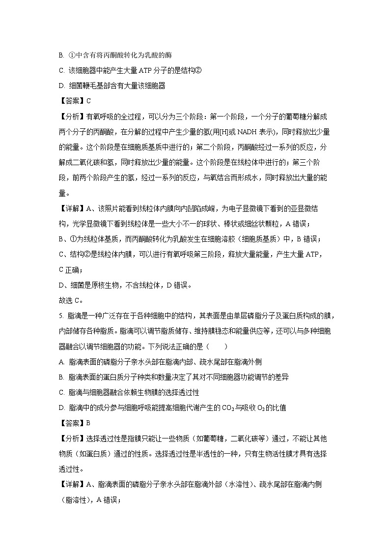 2022~2023学年山东省滨州市高一(上)2月期末生物试卷(解析版)第3页