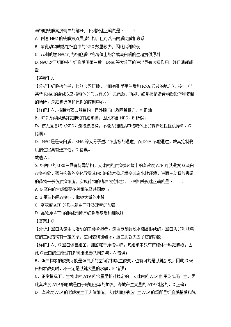 2022~2023学年山东省东营市高一(上)期末生物试卷(解析版)第3页