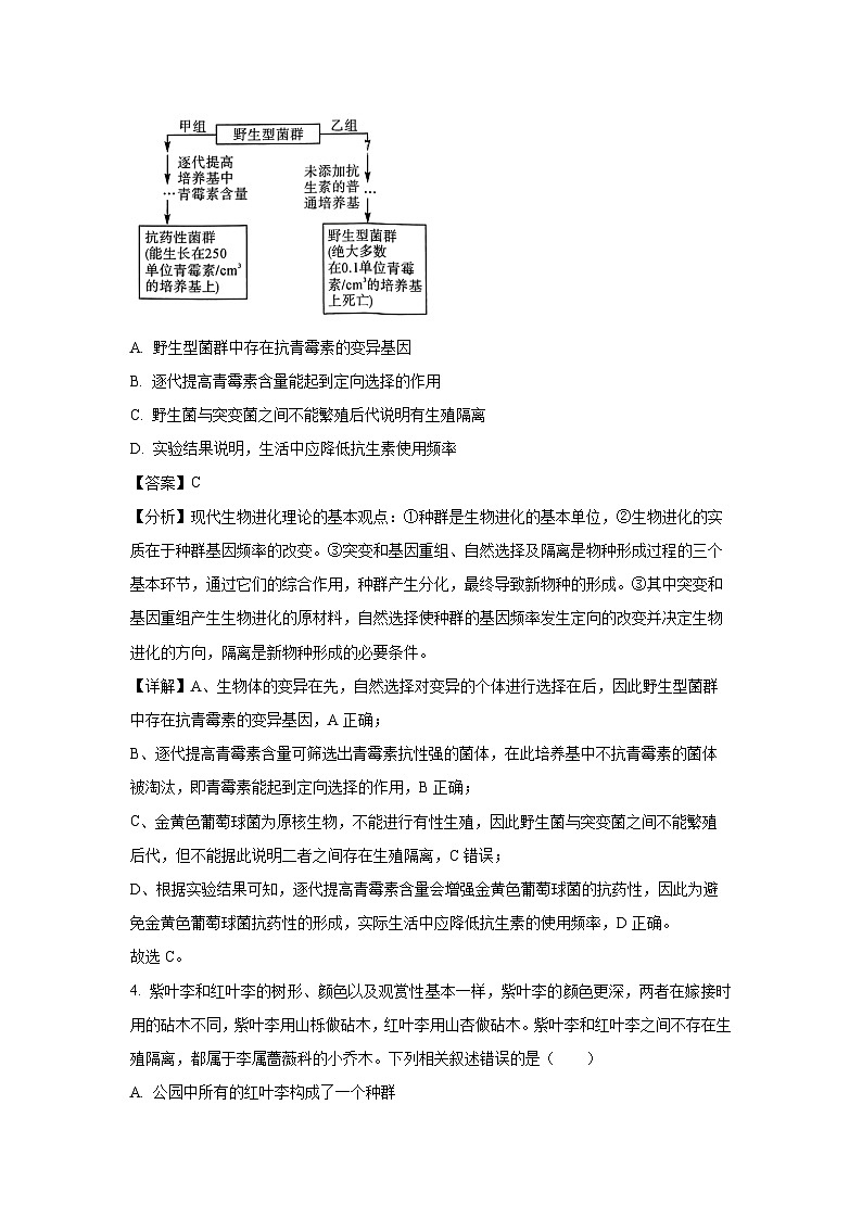 2024~2025学年安徽省池州市贵池区高二(上)期中检测生物试卷(解析版)第3页