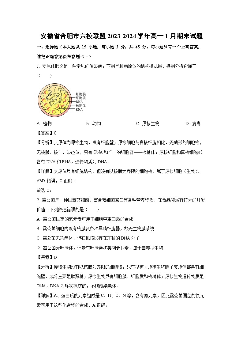 2023~2024学年安徽省合肥市六校联盟高一(上)1月期末生物试卷(解析版)第1页