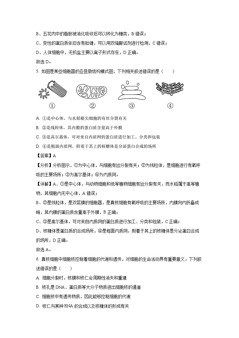 2023~2024学年安徽省合肥市六校联盟高一(上)1月期末生物试卷(解析版)第3页