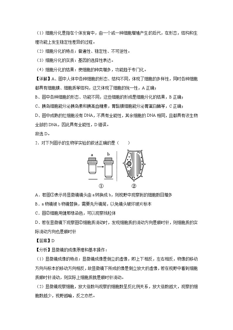 2024~2025学年高一(上)第三次月考(江苏专用)生物试卷(解析版)第2页