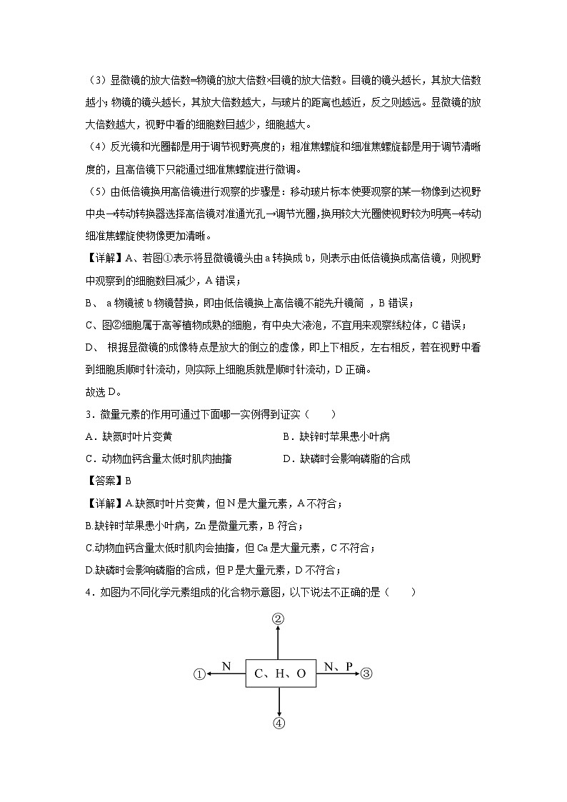 2024~2025学年高一(上)第三次月考(江苏专用)生物试卷(解析版)第3页
