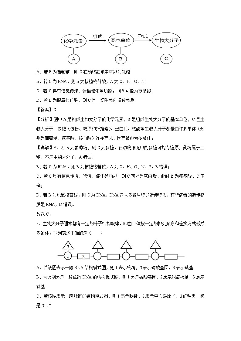 2024~2025学年高一(上)第三次月考(新高考通用)生物试卷(解析版)第2页