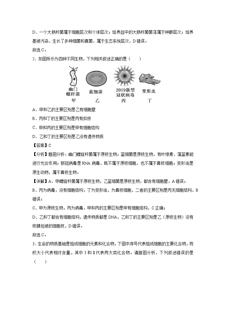 2024~2025学年高一(上)第三次月考01(人教版2019)生物试卷(解析版)第2页