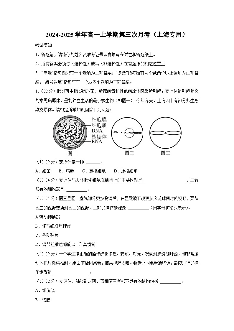 2024~2025学年高一(上)第三次月考(上海专用)生物试卷(解析版)第1页