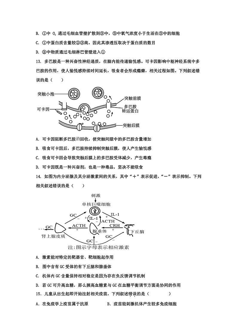 2024～2025学年广东省惠州市惠阳区丰湖高级中学高二(上)期中生物试卷(含答案)第3页