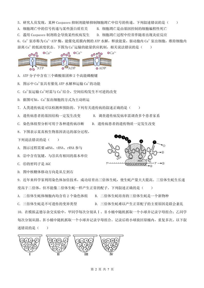 2024～2025学年浙江省金华市金东区曙光学校高二(上)期中生物试卷(含答案)第2页